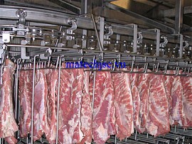 Băng tải xích treo nhà máy thực phẩm