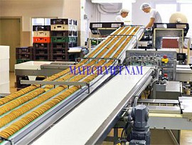 Băng tải PU vận chuyển bánh kẹo, thực phẩm